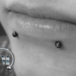 Snake Bites Labrets Piercer München Tempel Piercingstudio