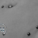 Bauchnabelpiercing Hippiercing Piercer München