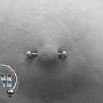 Brustwarzen piercing weiblich piercerin Tempel München