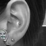 Conchpiercing Piercer Tempel München