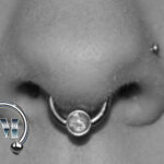 septumpiercing nostrilpiercing piercer Tempel München