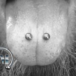 Venompiercings Piercer Tempel München