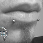 Snake Bites Labrets Piercer München Tempel Piercingstudio